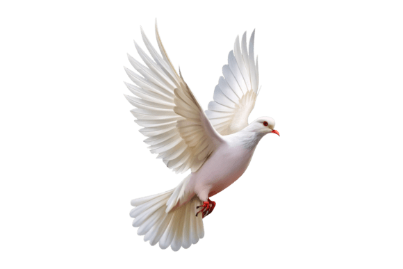 White Dove Flying T-shirt 3D PNG